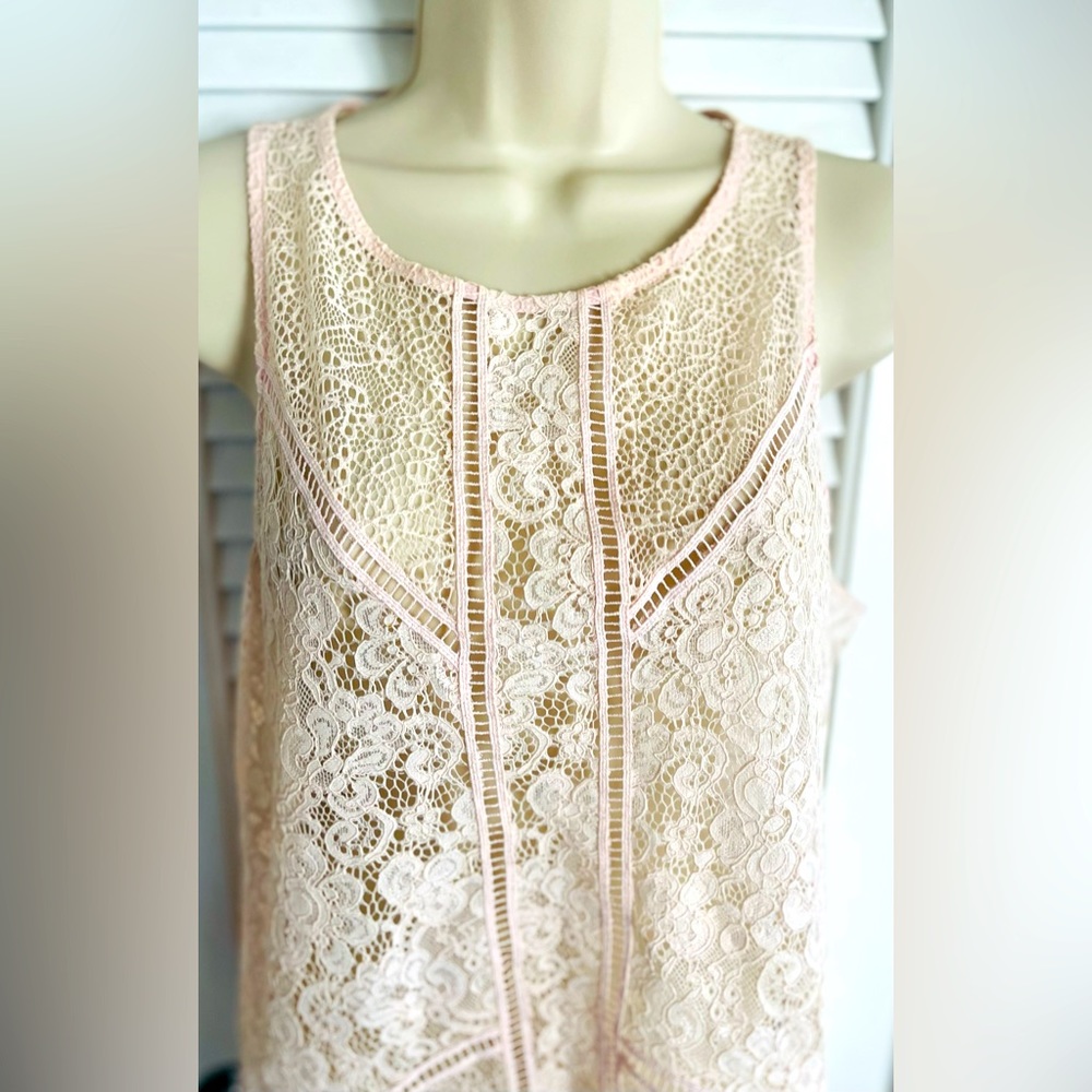 Express Lace Embroidered Sleeveless Top, Size Medium